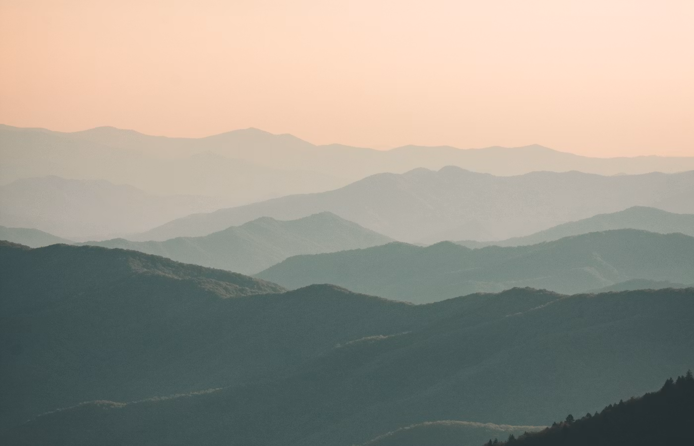 Ресурс для основателя